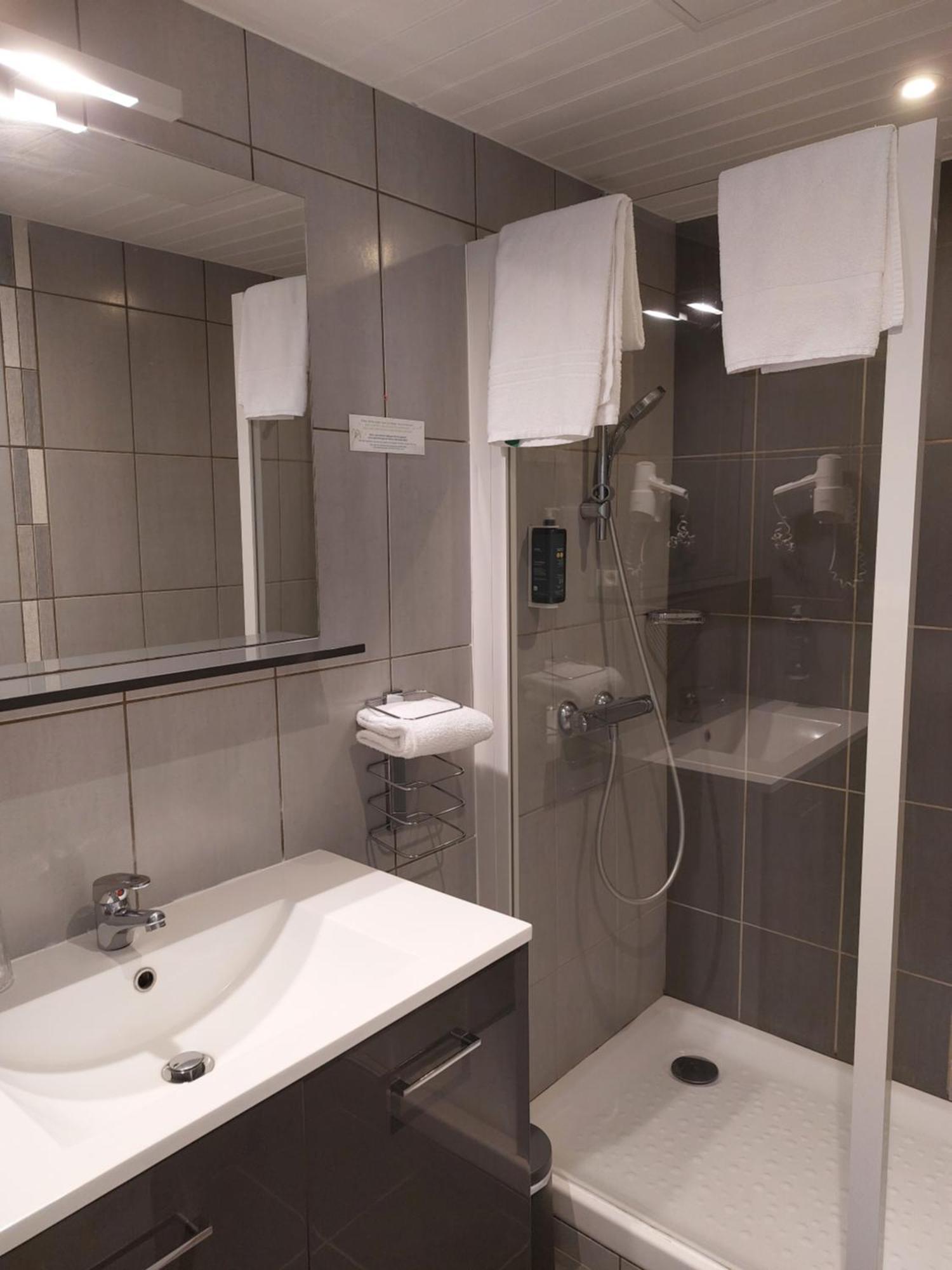 Brit Hotel Roanne - Le Grand Hotel Ngoại thất bức ảnh